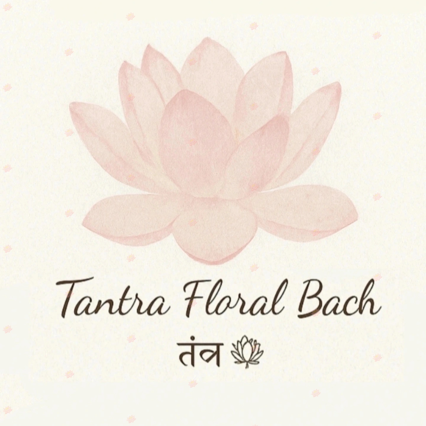 Lourdes Jimenez Romero